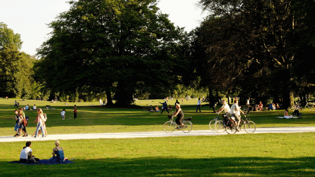 People in a green park.